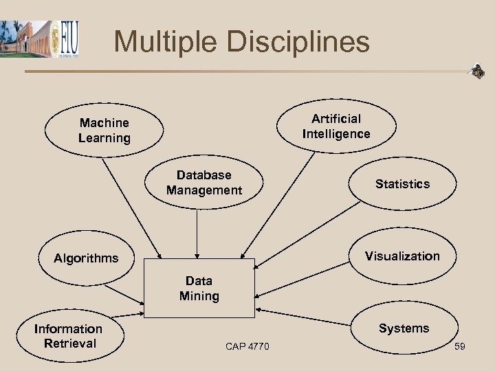 Multiple Disciplines Artificial Intelligence Machine Learning Database Management Statistics Visualization Algorithms Data Mining Information