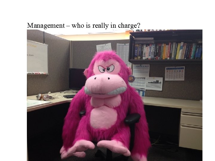 Management – who is really in charge? 