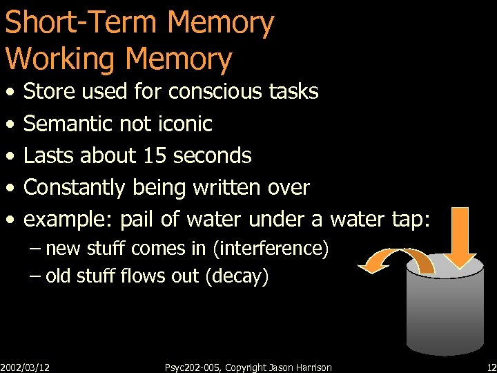 Short-Term Memory Working Memory • • • Store used for conscious tasks Semantic not