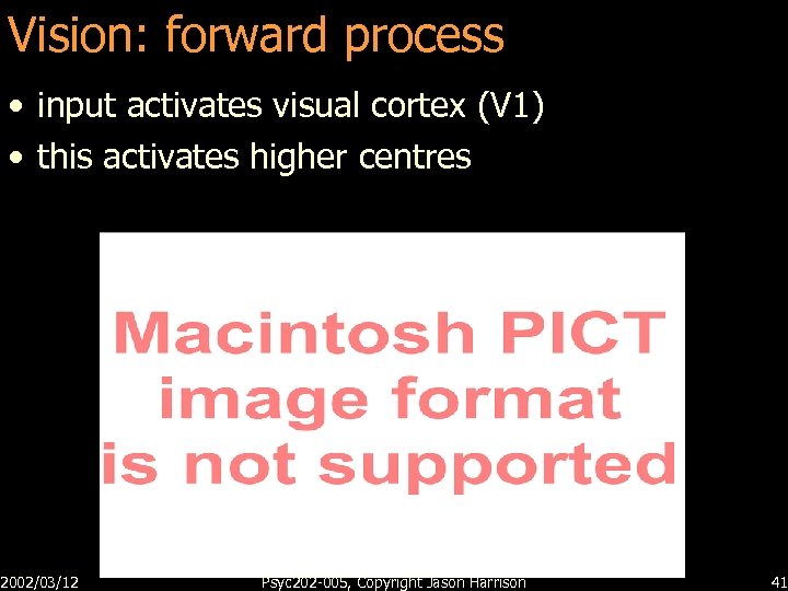 Vision: forward process • input activates visual cortex (V 1) • this activates higher