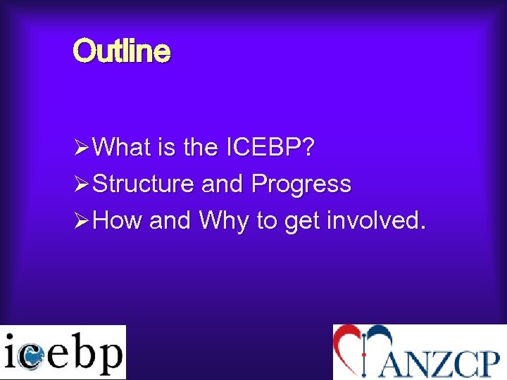 Outline ØWhat is the ICEBP? ØStructure and Progress ØHow and Why to get involved.