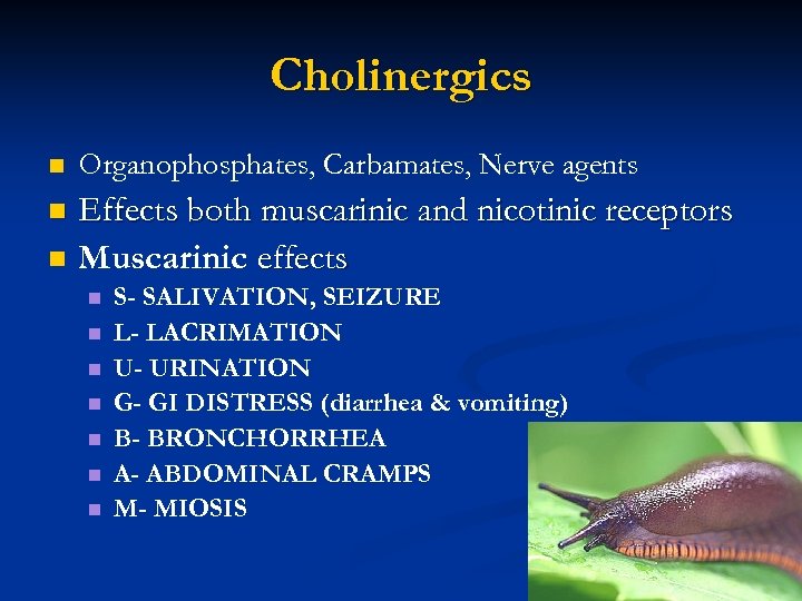 Cholinergics n Organophosphates, Carbamates, Nerve agents n Effects both muscarinic and nicotinic receptors Muscarinic