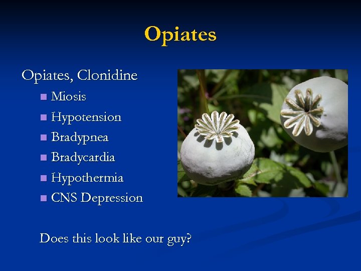 Opiates, Clonidine Miosis n Hypotension n Bradypnea n Bradycardia n Hypothermia n CNS Depression