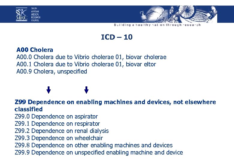 ICD – 10 A 00 Cholera A 00. 0 Cholera due to Vibrio cholerae