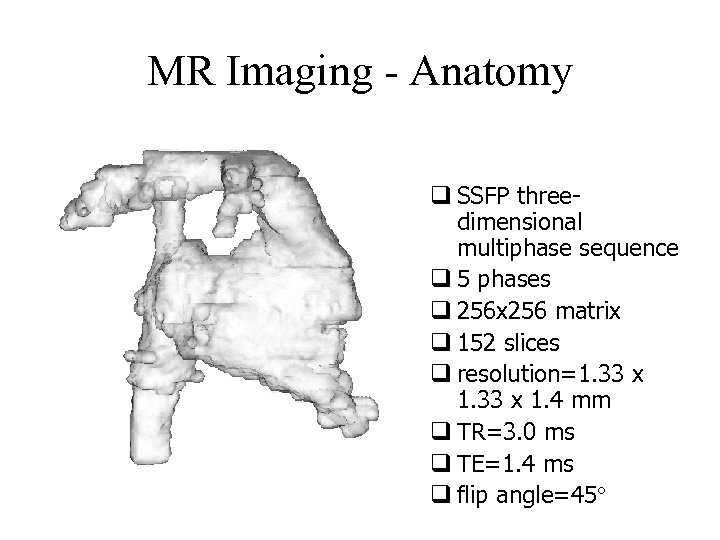 MR Imaging - Anatomy q SSFP threedimensional multiphase sequence q 5 phases q 256