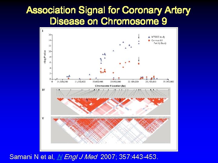Association Signal for Coronary Artery Disease on Chromosome 9 Samani N et al, N
