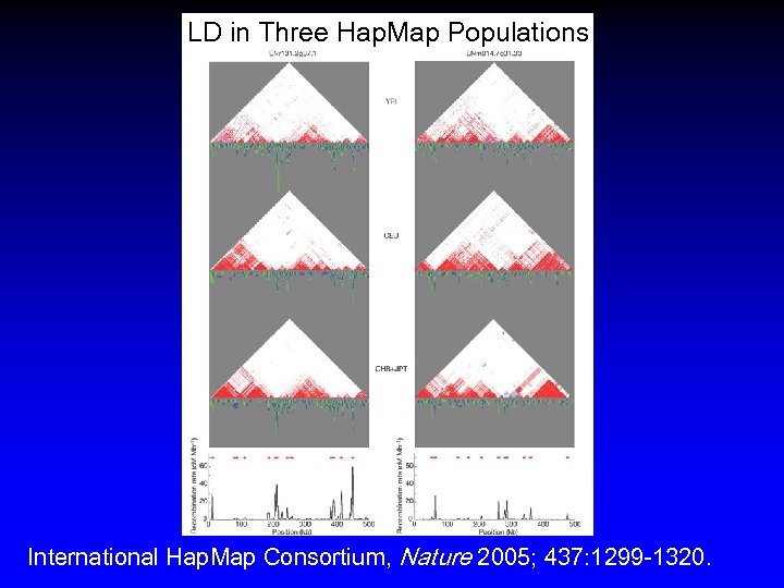 LD in Three Hap. Map Populations International Hap. Map Consortium, Nature 2005; 437: 1299