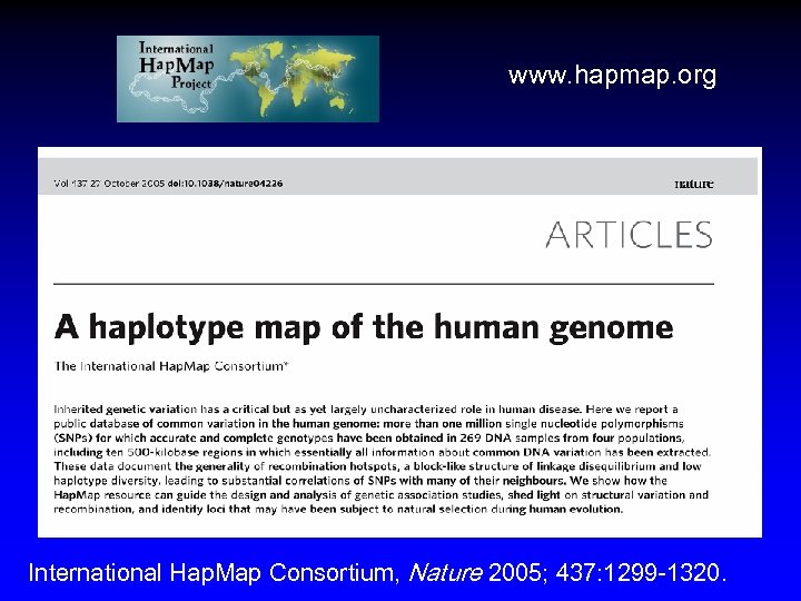 www. hapmap. org International Hap. Map Consortium, Nature 2005; 437: 1299 -1320. 