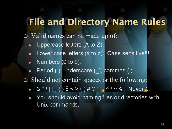File and Directory Name Rules Valid names can be made up of: ➲ ●