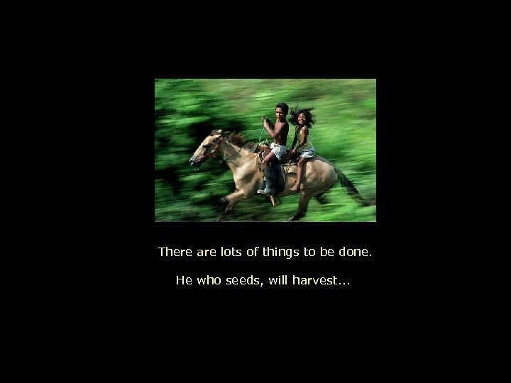 There are lots of things to be done. He who seeds, will harvest. .