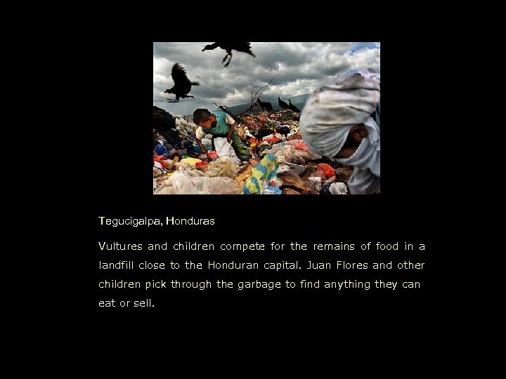 Tegucigalpa, Honduras Vultures and children compete for the remains of food in a landfill