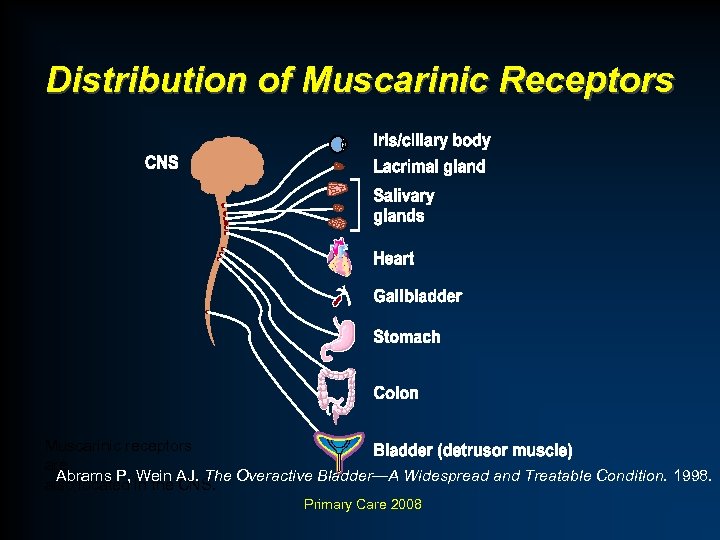 Distribution of Muscarinic Receptors Muscarinic receptors are Abrams P, Wein AJ. The Overactive Bladder—A