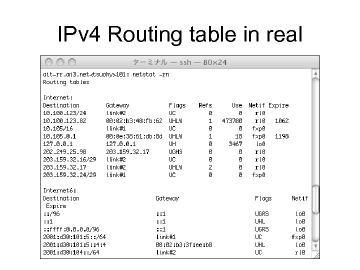 IPv 4 Routing table in real 