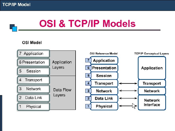 TCP/IP Model OSI & TCP/IP Models 