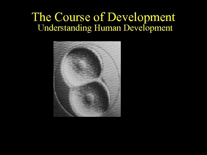 The Course of Development Understanding Human Development 