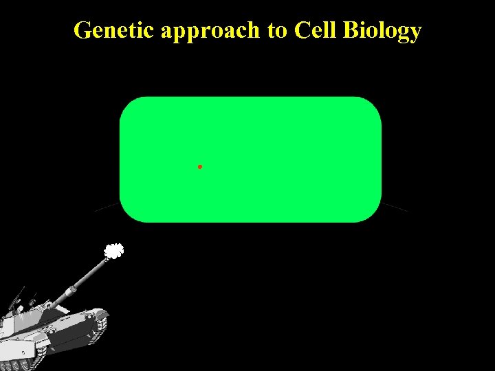 Genetic approach to Cell Biology 