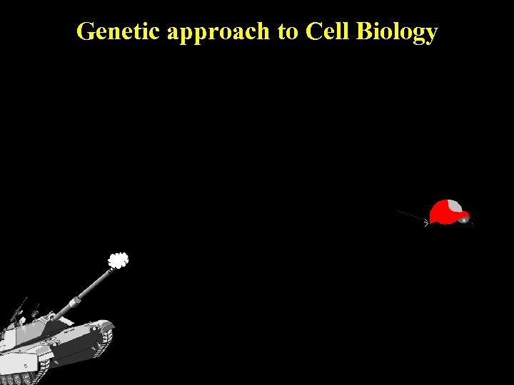 Genetic approach to Cell Biology 