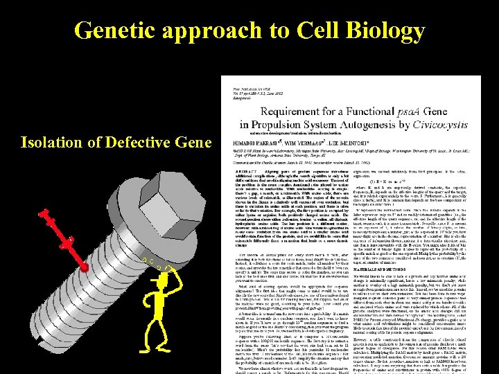 Genetic approach to Cell Biology Isolation of Defective Gene 