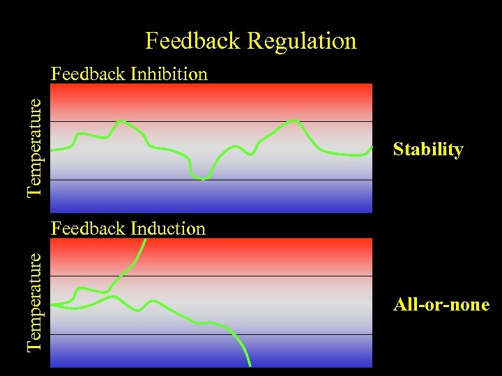 Feedback Regulation Temperature Feedback Inhibition Stability Temperature Feedback Induction All-or-none 