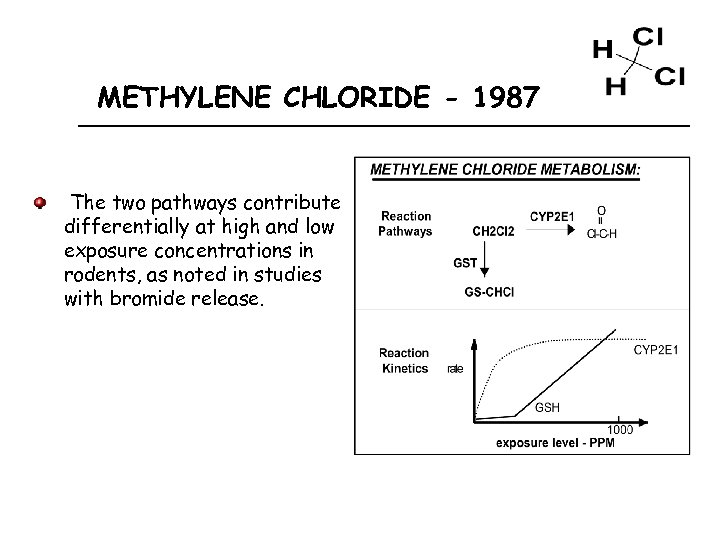 METHYLENE CHLORIDE - 1987 The two pathways contribute differentially at high and low exposure