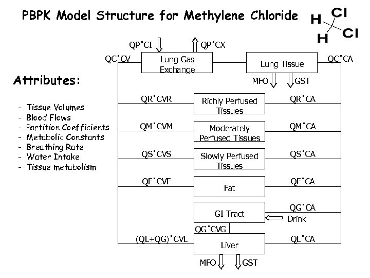 PBPK Model Structure for Methylene Chloride QP·CI QC·CV Attributes: - Tissue Volumes Blood Flows