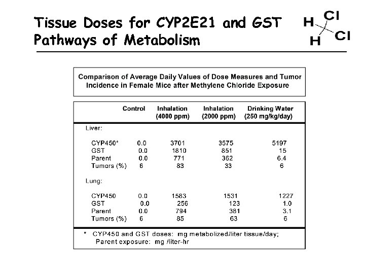Tissue Doses for CYP 2 E 21 and GST Pathways of Metabolism 