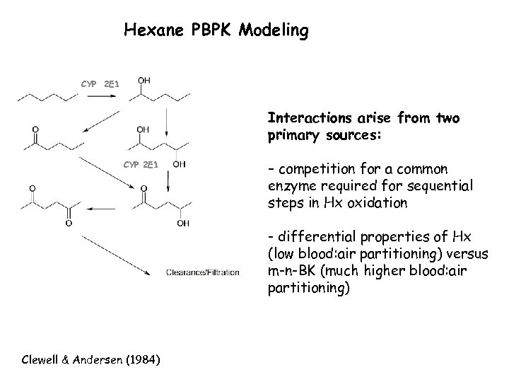 Hexane PBPK Modeling CYP 2 E 1 Interactions arise from two primary sources: CYP