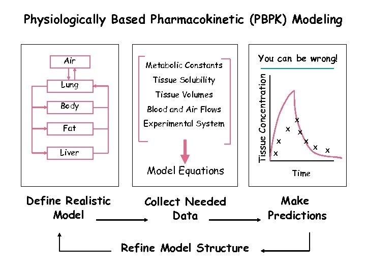 Physiologically Based Pharmacokinetic (PBPK) Modeling Lung Body Fat Metabolic Constants Tissue Solubility Tissue Volumes