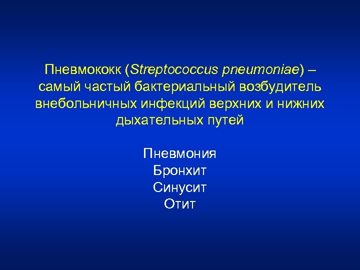 Пневмококк (Streptococcus pneumoniae) – самый частый бактериальный возбудитель внебольничных инфекций верхних и нижних дыхательных