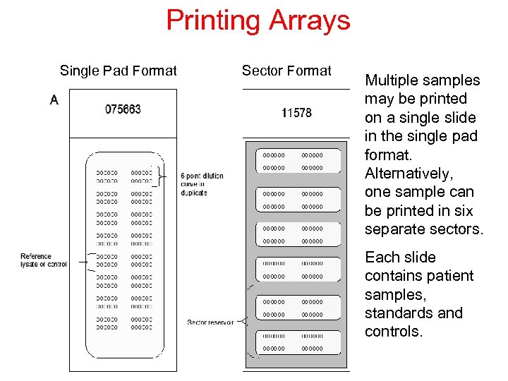 Printing Arrays Single Pad Format Sector Format Multiple samples may be printed on a