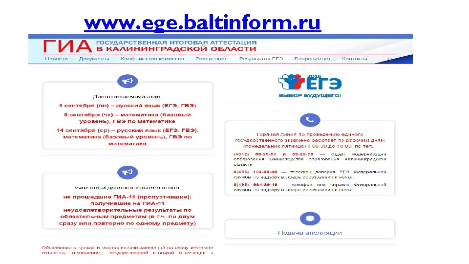 www. ege. baltinform. ru 