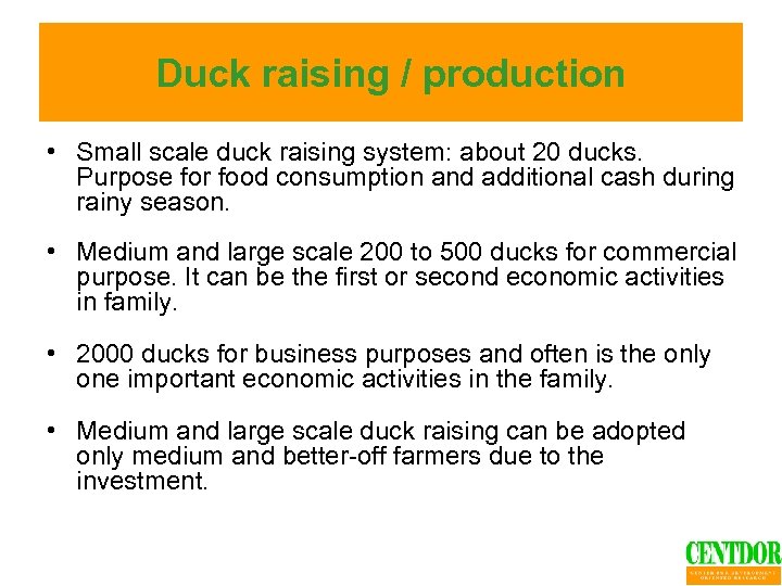 Duck raising / production • Small scale duck raising system: about 20 ducks. Purpose