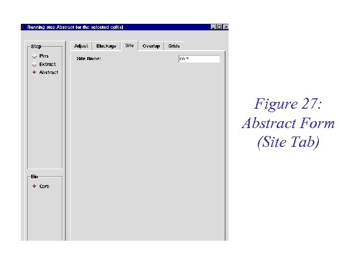 Figure 27: Abstract Form (Site Tab) 