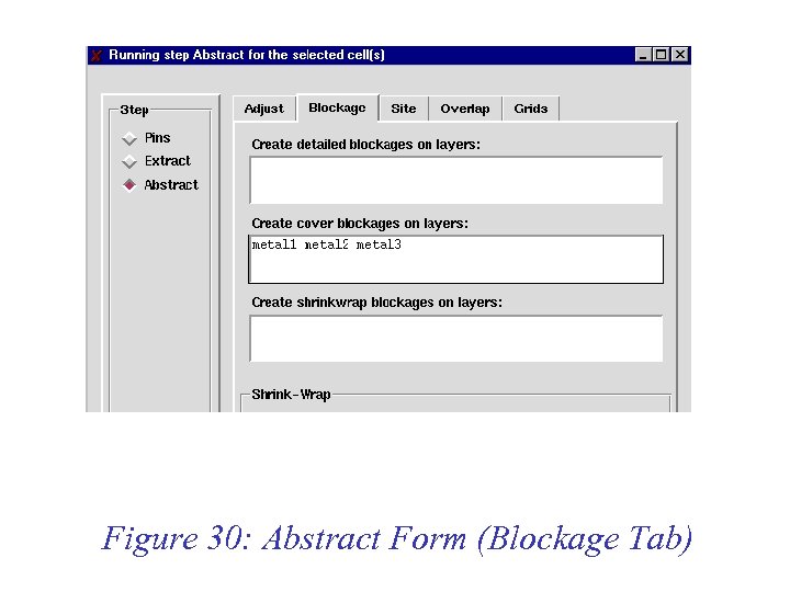 Figure 30: Abstract Form (Blockage Tab) 