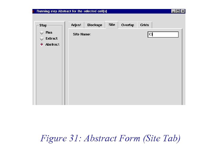 Figure 31: Abstract Form (Site Tab) 