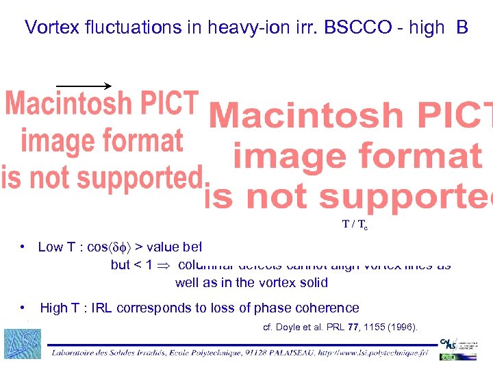 Vortex fluctuations in heavy-ion irr. BSCCO - high B T / Tc • Low