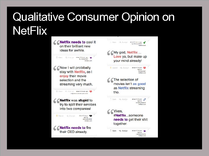 Qualitative Consumer Opinion on Net. Flix 