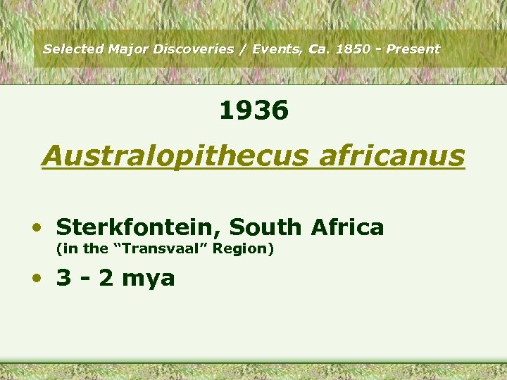Selected Major Discoveries / Events, Ca. 1850 - Present 1936 Australopithecus africanus • Sterkfontein,