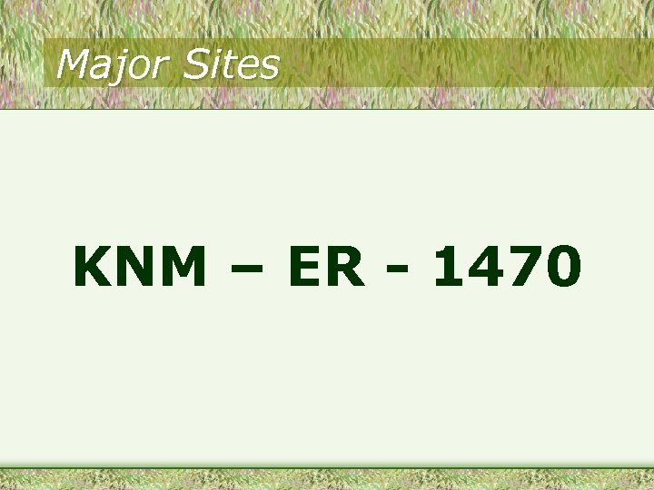 Major Sites KNM – ER - 1470 