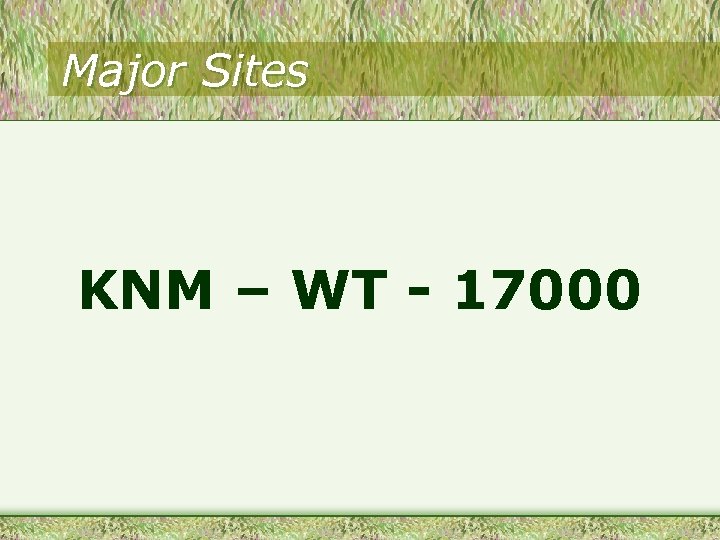 Major Sites KNM – WT - 17000 