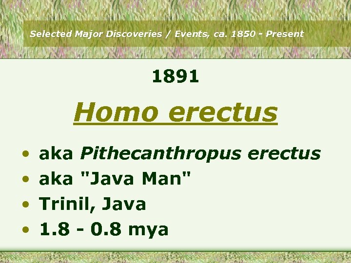 Selected Major Discoveries / Events, ca. 1850 - Present 1891 Homo erectus • •