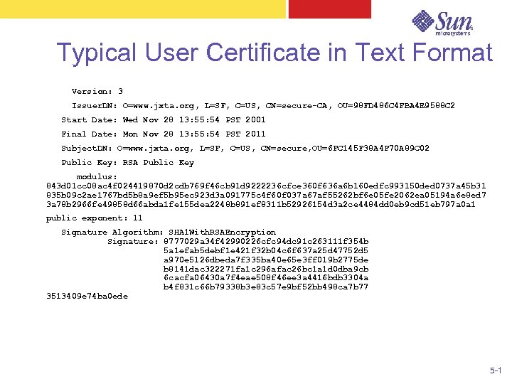 Typical User Certificate in Text Format Version: 3 Issuer. DN: O=www. jxta. org, L=SF,