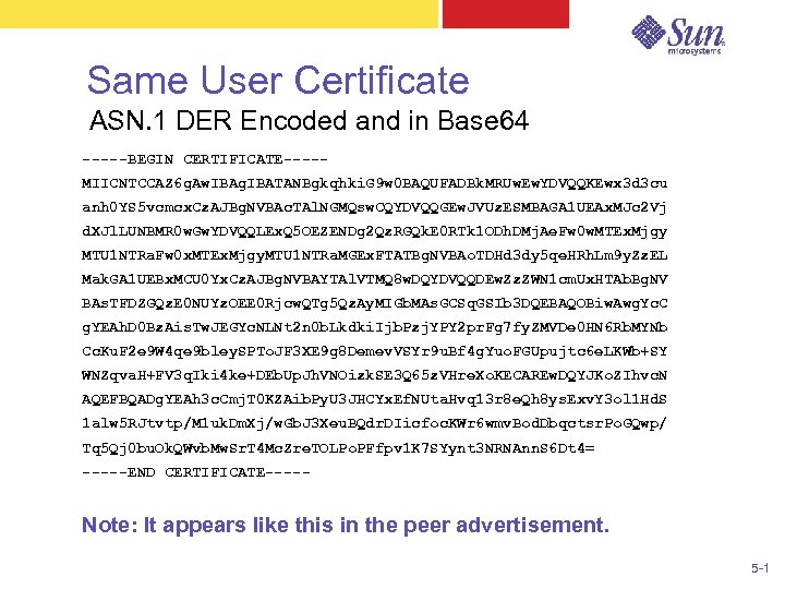 Same User Certificate ASN. 1 DER Encoded and in Base 64 -----BEGIN CERTIFICATE----MIICNTCCAZ 6