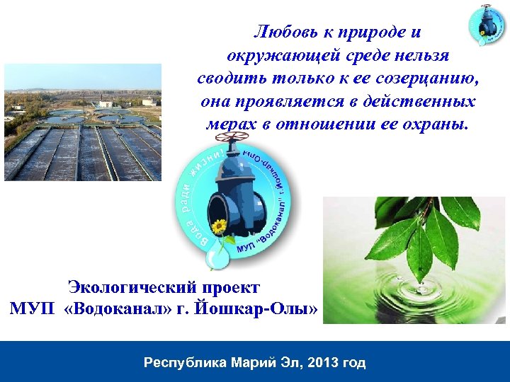 Любовь к природе и окружающей среде нельзя сводить только к ее созерцанию, она проявляется