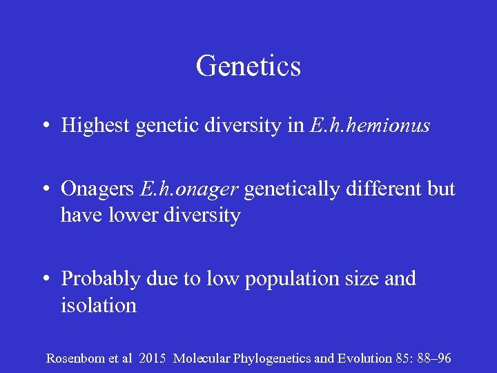 Genetics • Highest genetic diversity in E. h. hemionus • Onagers E. h. onager