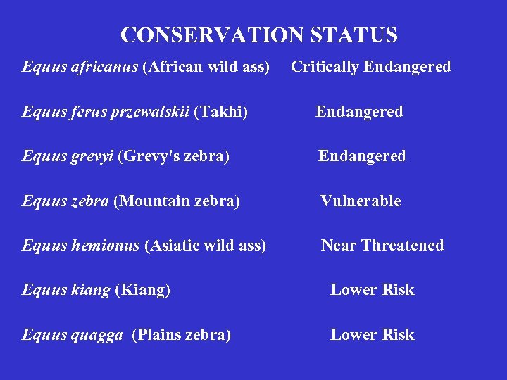 CONSERVATION STATUS Equus africanus (African wild ass) Critically Endangered Equus ferus przewalskii (Takhi) Endangered