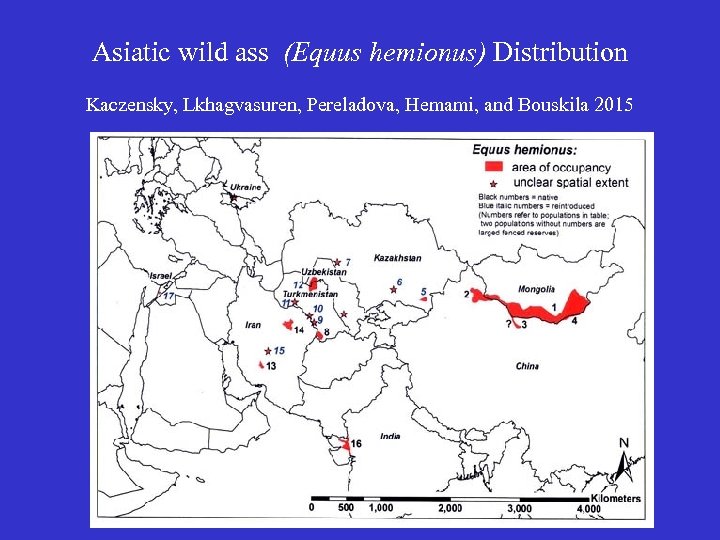 Asiatic wild ass (Equus hemionus) Distribution Kaczensky, Lkhagvasuren, Pereladova, Hemami, and Bouskila 2015 