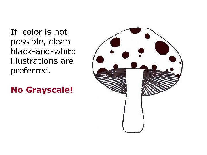 If color is not possible, clean black-and-white illustrations are preferred. No Grayscale! 