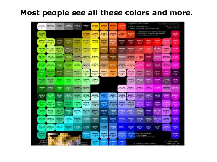 Most people see all these colors and more. 