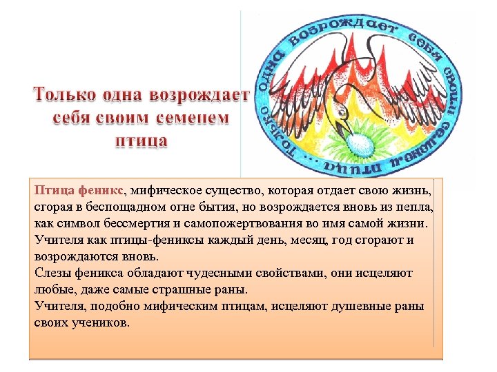 Птица феникс, мифическое существо, которая отдает свою жизнь, сгорая в беспощадном огне бытия, но